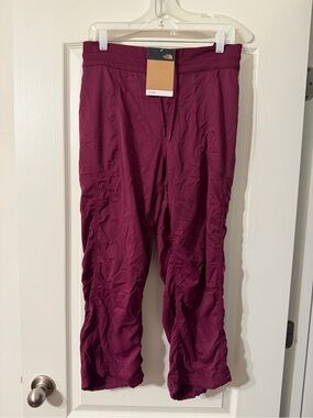 The North Face Burgundy FlashDry Active Pants